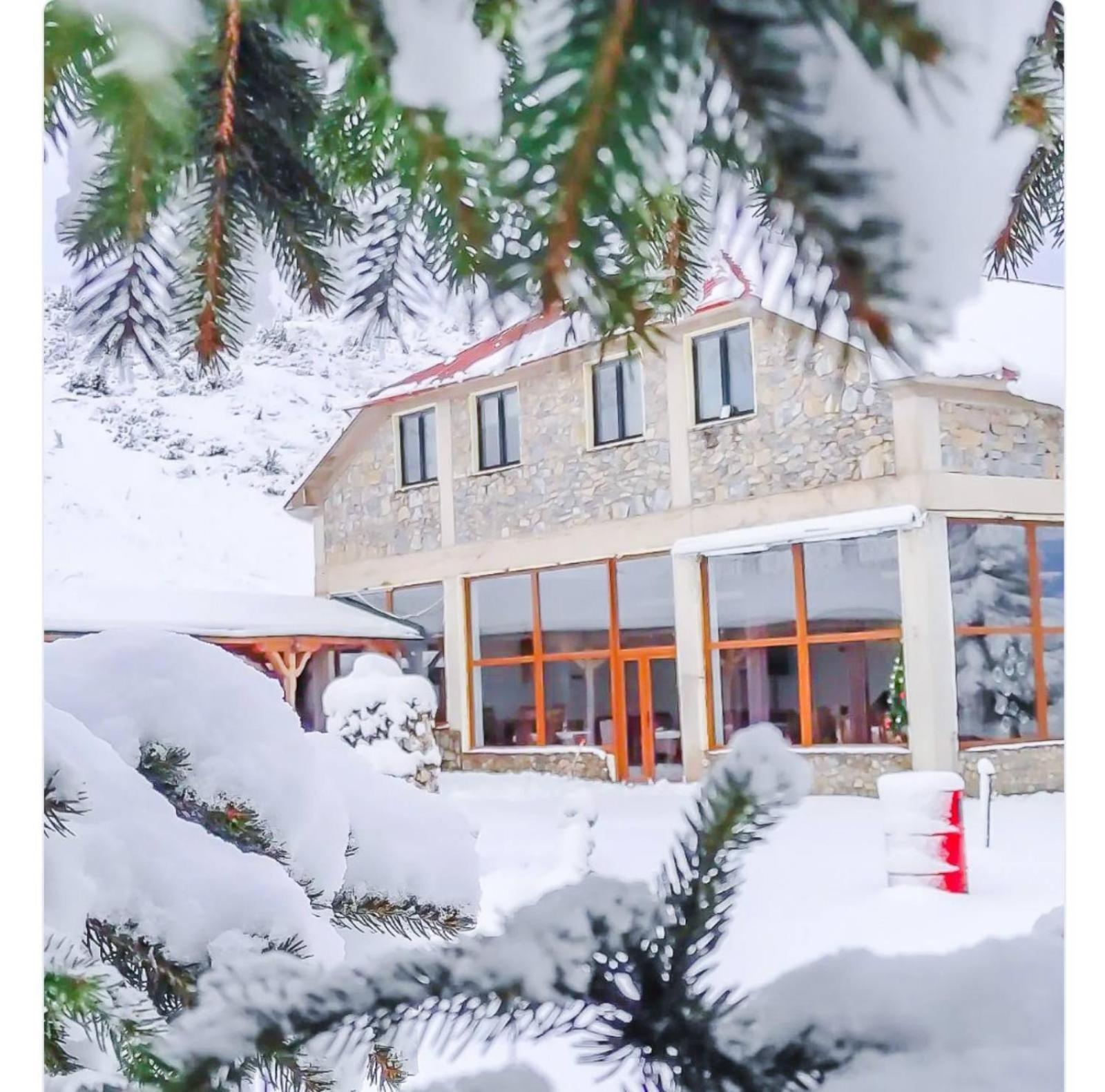 Hotel Victorian Heights Popova Shapka Exterior foto